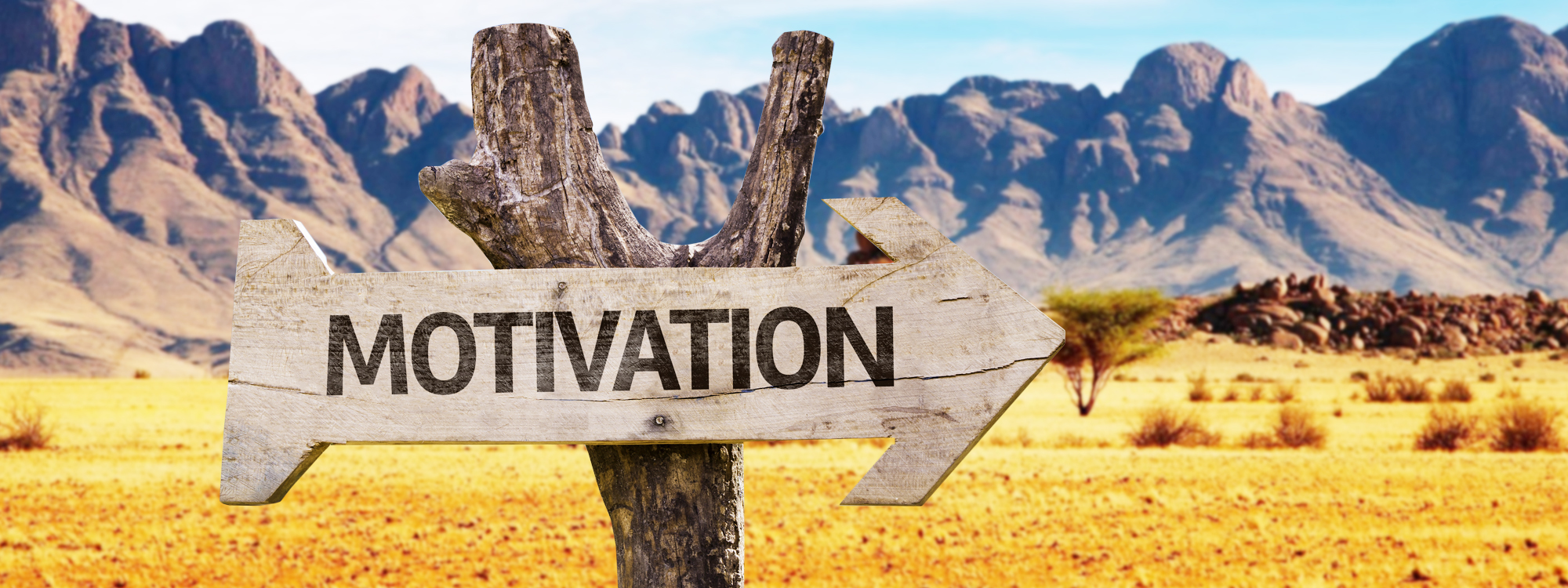 Master Your Motivation And Succeed - by Bev James